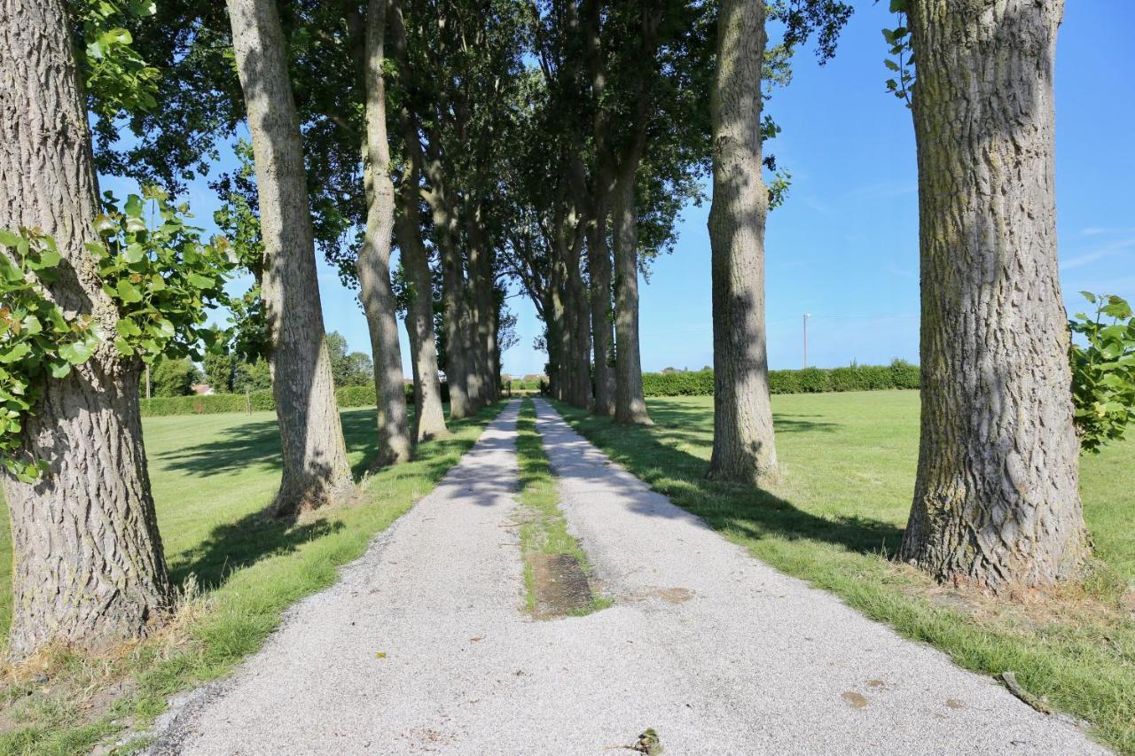 Téteghem La Grange Du Veld旅馆 外观 照片